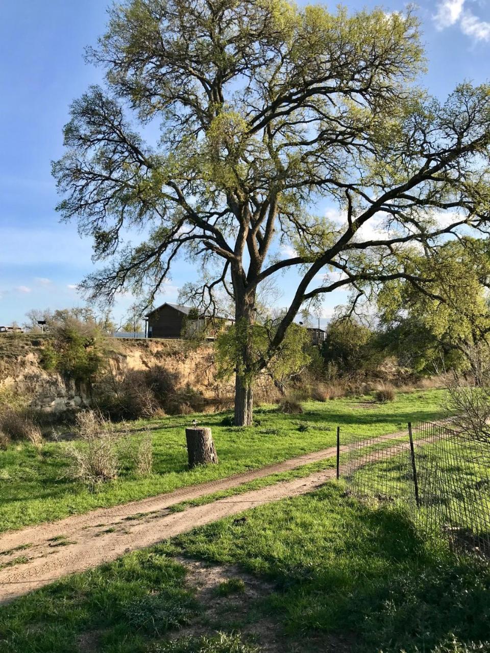 فريدريكسبيرغ City On A Hill At Spring Creek المظهر الخارجي الصورة